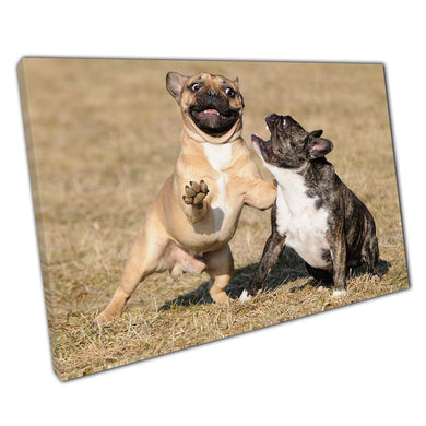 Adorable French Bulldog Puppy Canvas: Playful Pet Wall Art for Home & Office Decor - Print Store