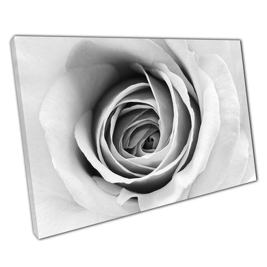 Black  White Canvas Wall Art Print - Delicate Rose  Petals for Home Office Decor - Print Store