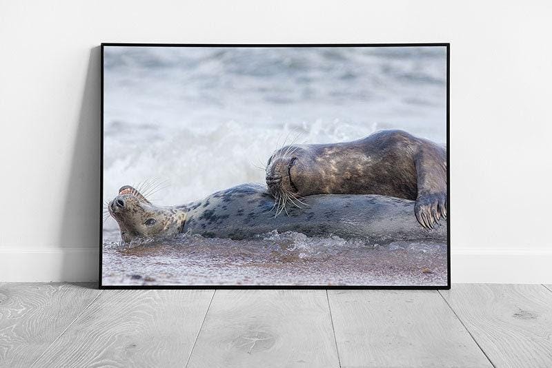 Vibrant Seal Beach Framed Print: Playful Ocean Scene with Marine Animals Wall Art Decor - Print Store