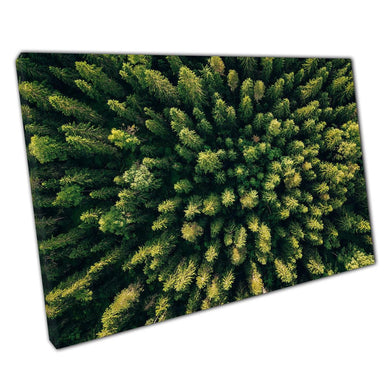 Aerial View Canvas Art - Green Summer Forest Decor - Nature Wall Art for Home  Office - Print Store