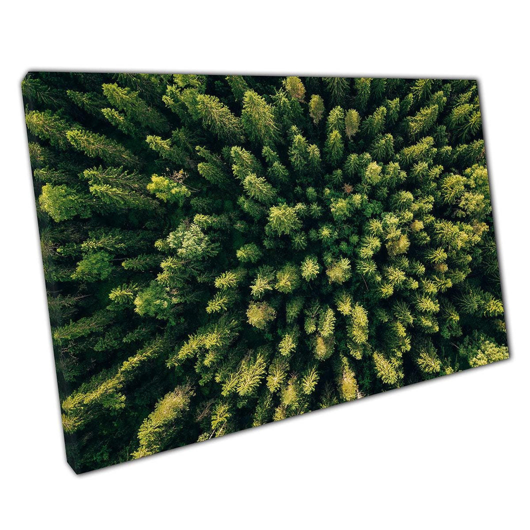 Aerial View Canvas Art - Green Summer Forest Decor - Nature Wall Art for Home  Office - Print Store