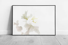 Load image into Gallery viewer, White Floral Abstract Photography Print  Dreamy Blooming Flower Petals Wall Art - Print Store
