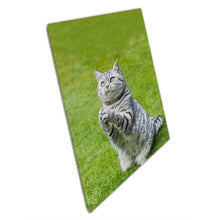Load image into Gallery viewer, British Silver Tabby Cat on Green Grass Canvas Wall Art Print - Cute Pet Photography Decor for Home &amp; Office - Print Store
