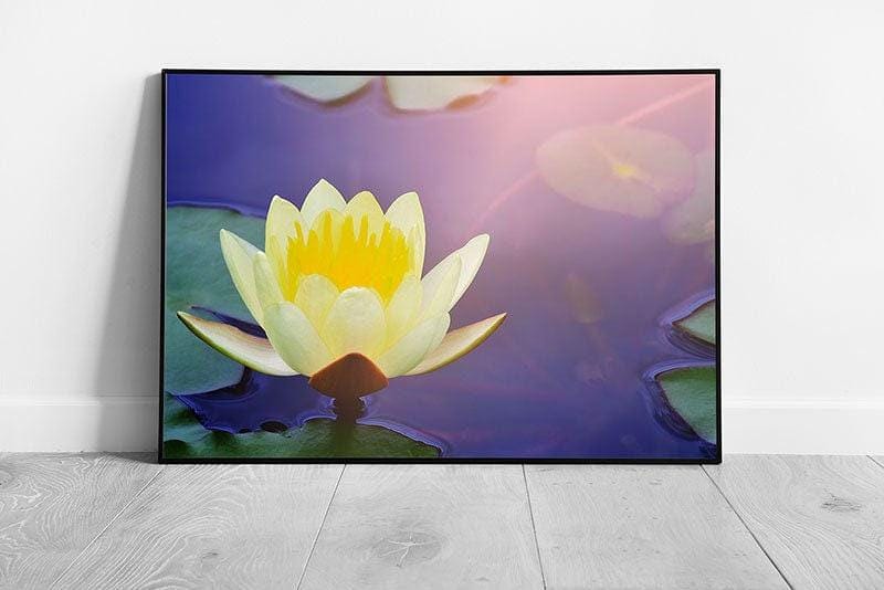 Yellow Lotus Water Lily Art Print - Serene Framed Wall Decor in Sunlit Pond - Print Store