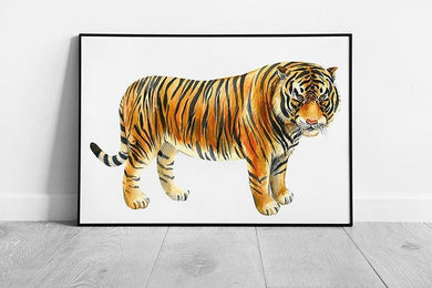 Vibrant Tiger Watercolor Art Print  Framed Wall Decor for Home - Print Store