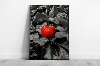 Vibrant Red Apple Wall Art Print: Framed Modern Kitchen Decor, Ready to Hang - Print Store