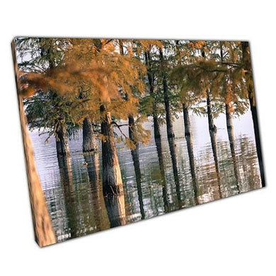 Canvas Print of Flooded Trees - Ready to Hang Wall Art for Home  Office Decor - Print Store