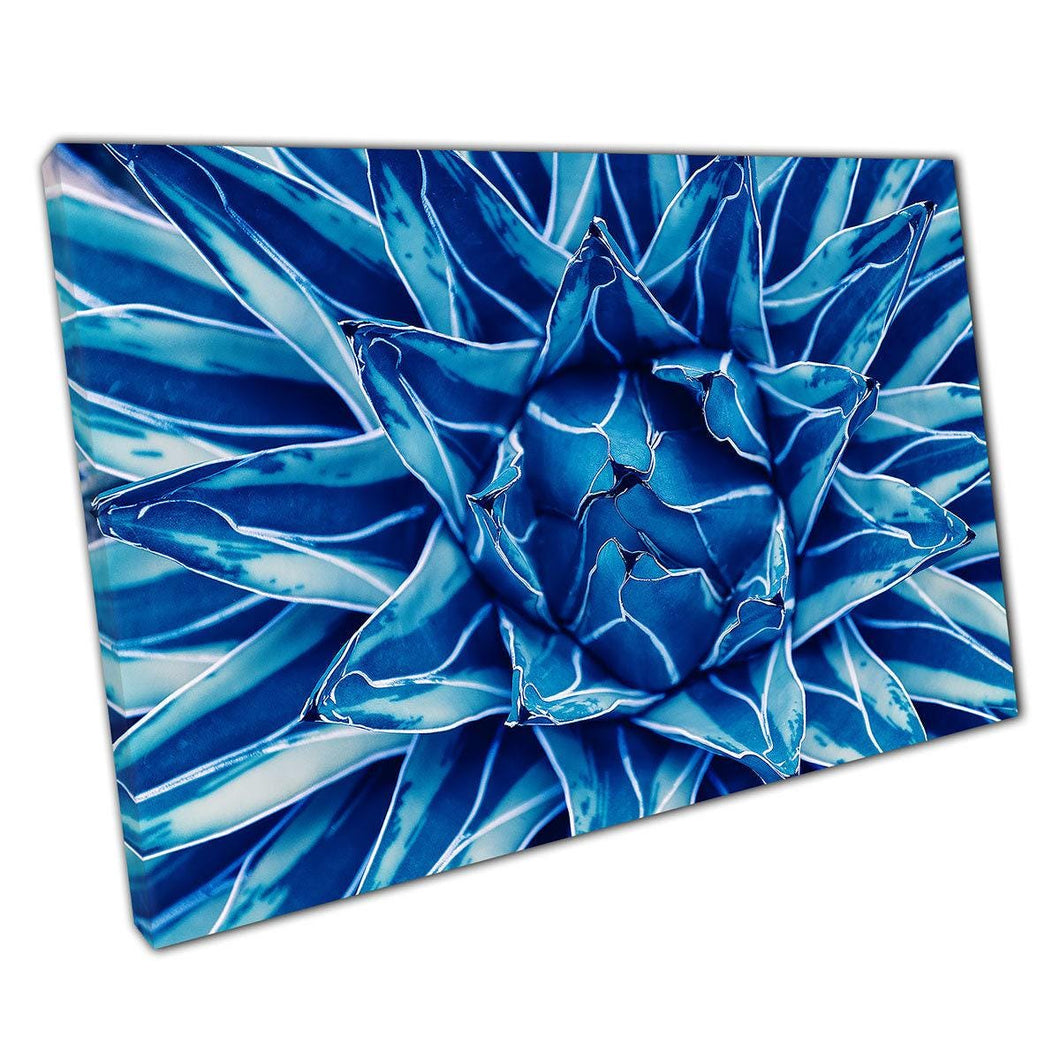 Blue Agave Abstract Canvas Print: Modern Succulent Wall Art for Home & Office Decor - Print Store