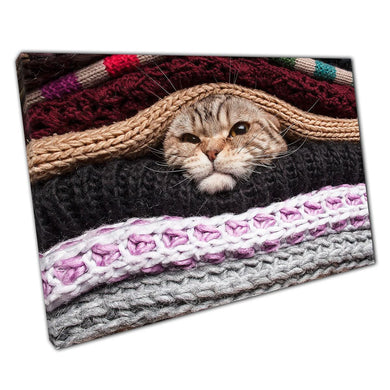 Angry Cat in Wool Pile Wall Art Print for Home  Office Decor - Print Store