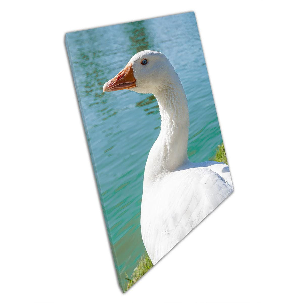 Blue Eyed White Goose Wall Art Print on Canvas for Home Office Décor - Print Store