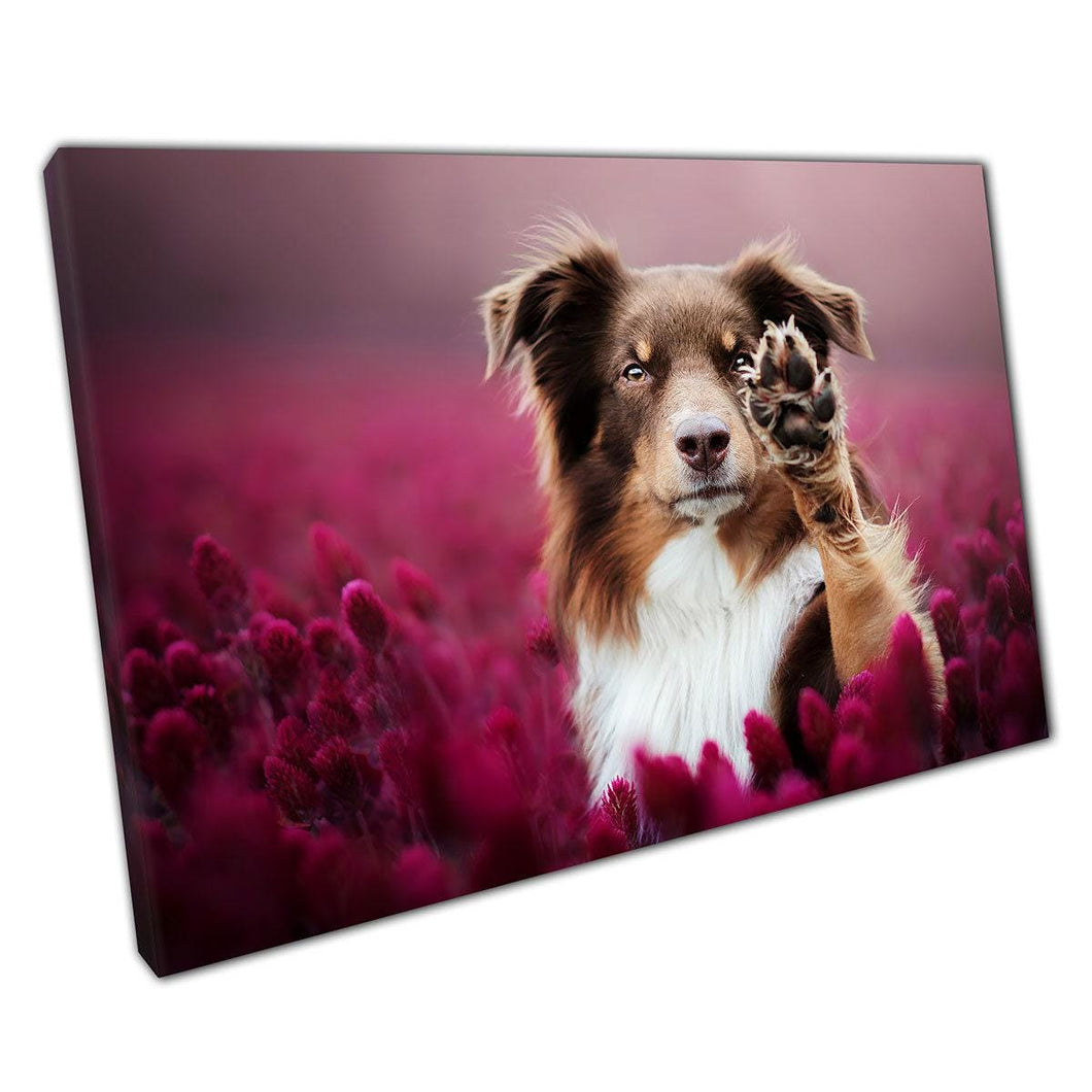 Australian Shepherd Paw Print Canvas Art in Red Pink Flower Field for Home  Office Decor - Print Store