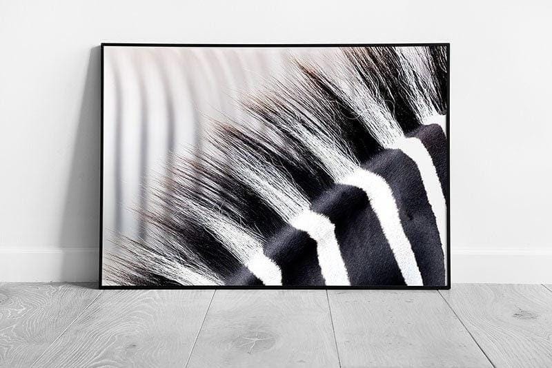 Zebra Striped Mane Abstract Animal Wall Art Print - Black  White Framed Photography Artwork - Print Store