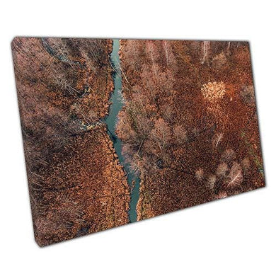 Aerial Bialowieza Forest Canvas: Ready-to-Hang Wall Art for Home & Office Nature Decor - Print Store
